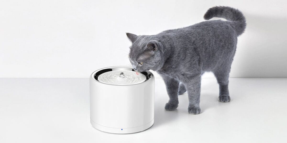 Petkit Haustierbrunnen - Eversweet 3Pro Wireless (mit UVC Desinfektion) – Bild 5